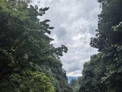 -黄山翡翠谷景区