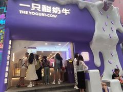 -一只酸奶牛(八一路店)