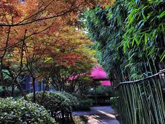 -湖滨客舍·湖北菜
