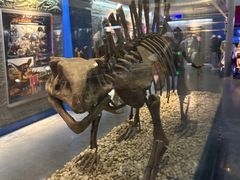 -国家自然博物馆