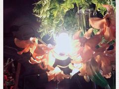 -胡桃里乐队酒馆(鎏嘉码头店)