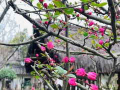 -绍兴鲁迅故里·沈园景区