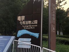 -鱼嘴湿地公园