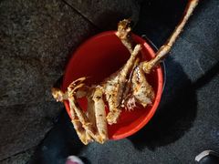 -徐记海鲜(大明宫|北二环店)