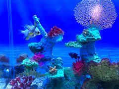 -秦皇岛新澳海底世界