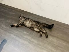 -乐果甜心·潮汕冰室(南澳后宅分店)