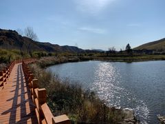 -塞罕坝国家级自然保护区