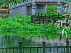-西海子公园