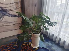 -悠仙美地(赣榆店)