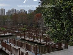 -五缘湾湿地公园