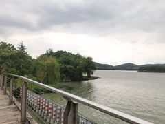 -长广溪湿地公园