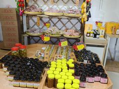 -苏州市吴中区光福窑上花果蜜饯厂