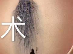-苏州本色美术馆