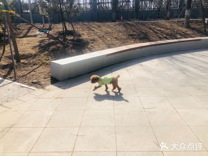 坝河休闲公园图片