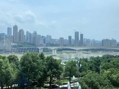 -丽晶轩中餐厅(重庆丽晶酒店)