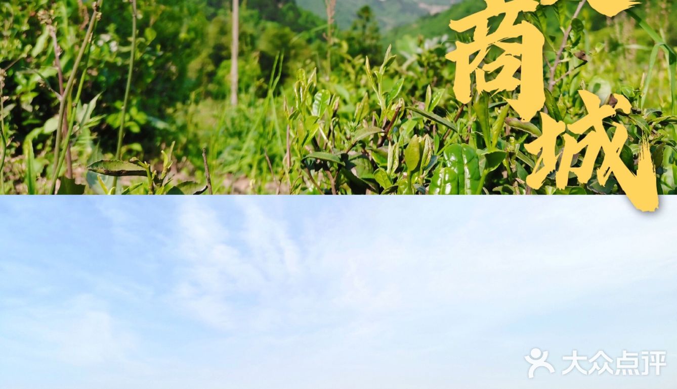 信阳商城县，旅行好地方～