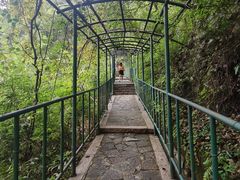 -溪口-滕头旅游景区