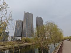 -西海子公园