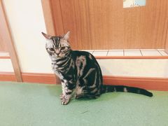 -藦茜花园宠物主题亲子互动体验馆(国顺东路店)