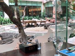 景观位-白虎自助餐厅·真老虎·景观自助餐厅(广州长隆酒店)