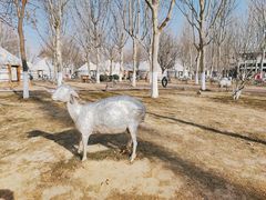 -九十九顶毡房(阜石路店)