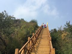 -大岭沟猕猴桃谷风景区