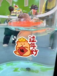 -鳄鱼泡泡游泳馆(新DNA购物中心店)