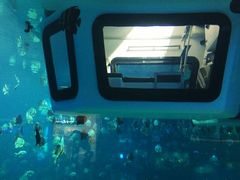 -成都浩海立方海洋公园