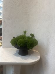 -ARC弧线沙龙