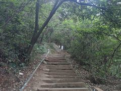 -杭州半山国家森林公园