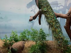 -武汉园博园(武汉自然博物馆)