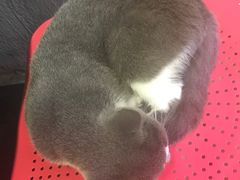 -MIKAKU(万达广场上海宝山店)