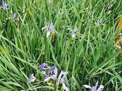 -前小桔亲子创意农场·草莓采摘·露营烧烤