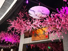 -韵秋荷(宝山龙湖天街店)