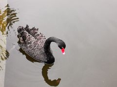 -成都南湖公园