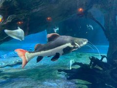 -华夏文旅海洋公园