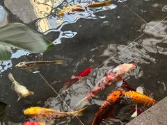 -天津海河悦榕庄·Lobby Lounge大堂吧