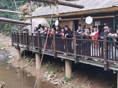 -西双版纳原始森林公园