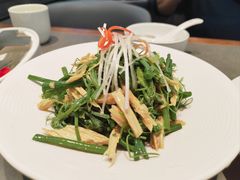 凉拌丝瓜尖-黑窑厂糖油饼烤鸭·清真菜(黑窑厂街店)