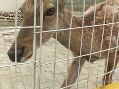 -武汉紫薇都市田园