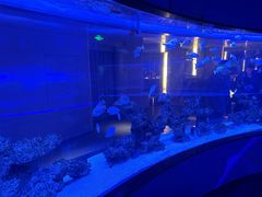 -上和臻品中国菜(花园街店)