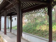 -苏州上方山国家森林公园