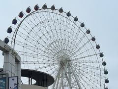 -琴岛之星摩天轮