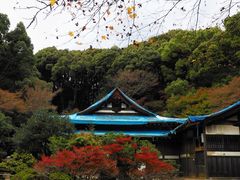 -醍醐寺