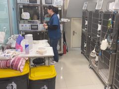 -申普宠物医院·心脏介入·心血管微创(总院)