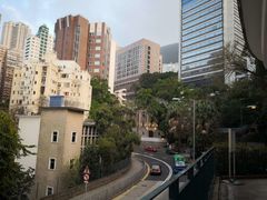 -香港大学
