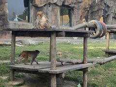 -大连森林动物园