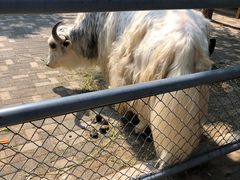 -长白岛森林公园