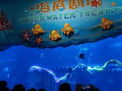-西安曲江海洋极地公园