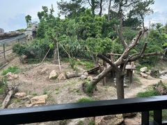 -宁波野生动物园
